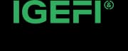 Logo IGEFI Lyon